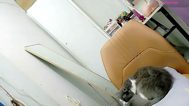 tgirljennie_69 live
