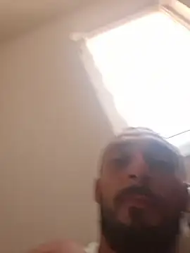 CedaM11 live