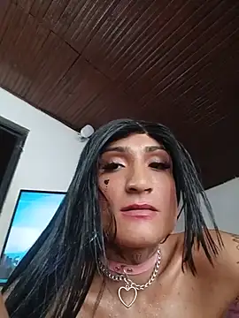 TRANS_COLOMBIA live
