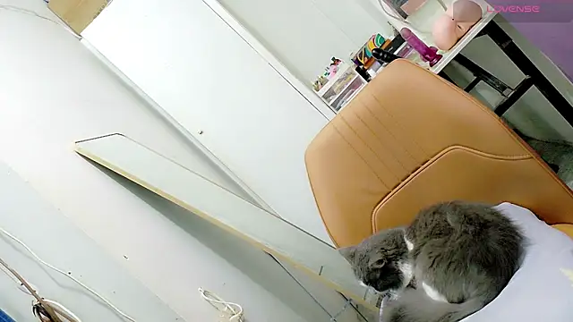 tgirljennie_69 live