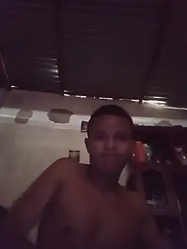 Verga12cm live