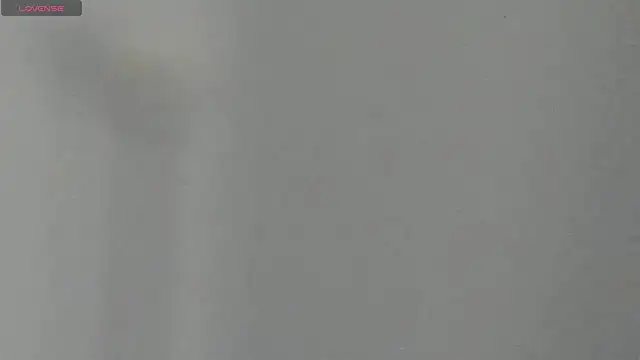 Sinti_Phillips live