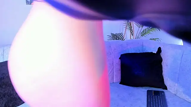 Velvet_Noir_ live