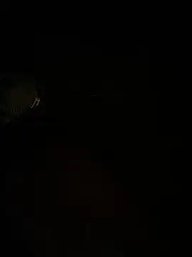 Toiyeuanh live