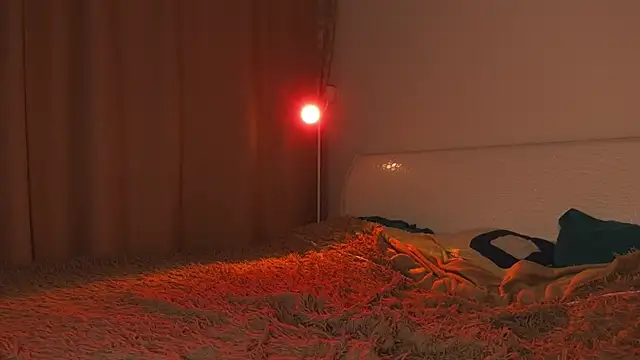 Meowmacito live