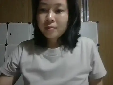 Cat-meow live