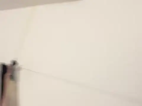 pleasures_wish live