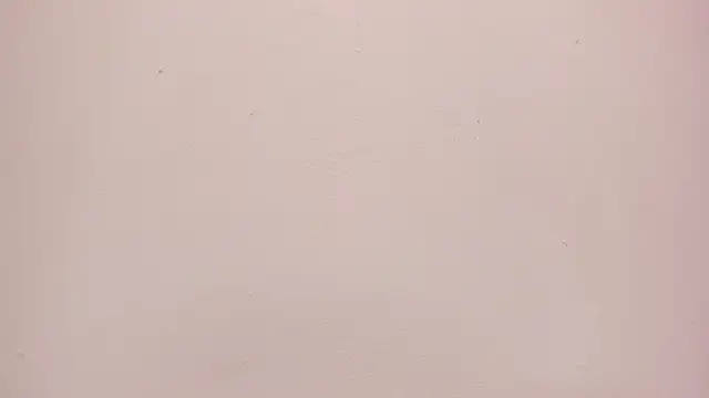 Sara_connor01 live