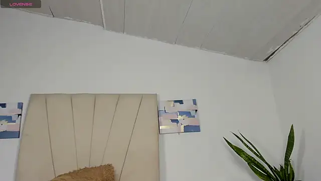 Sophia_Ebony live