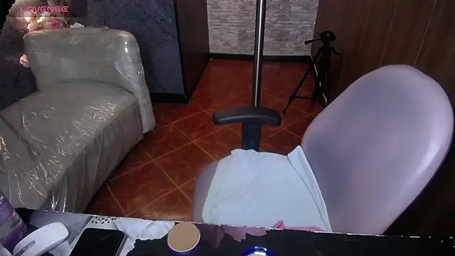ariel_1_ live