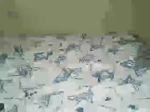 prittyprincessa live