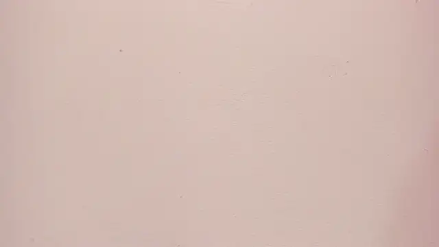 Sara_connor01 live