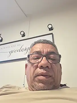 tigre6911 live
