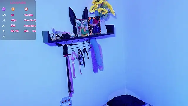 Meow_cat4 live
