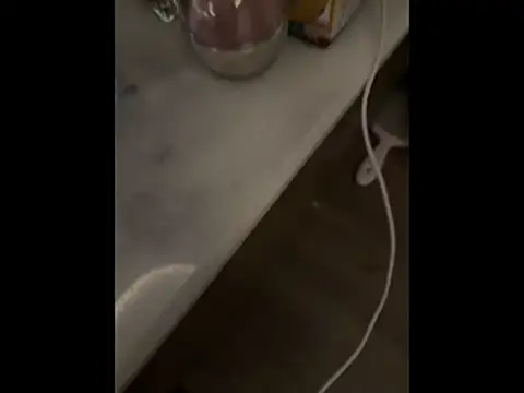 Arina_Bloom live