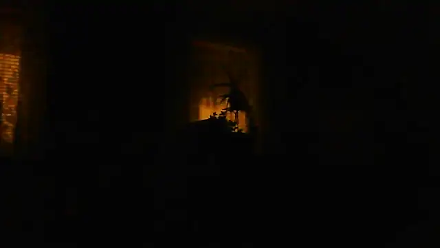 Geiler668 live
