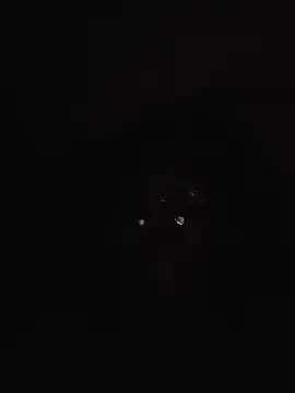 Nalavi live