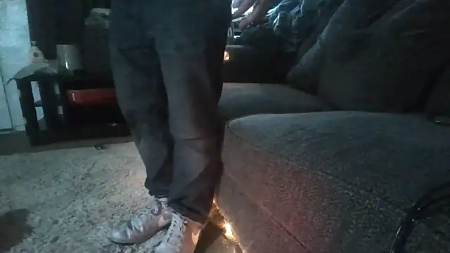 Antoniothedon live
