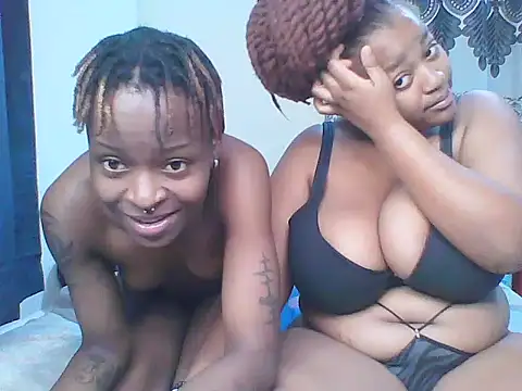African_boobies live