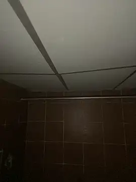 Carolina_caro live