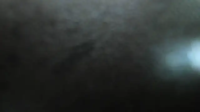 camila_wood live