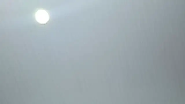 Carolina_Bloom live