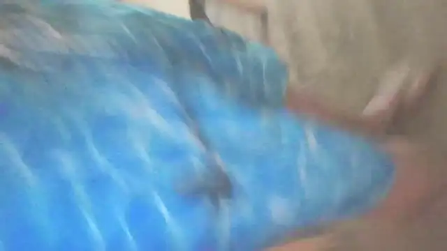 Yankeedave420 live