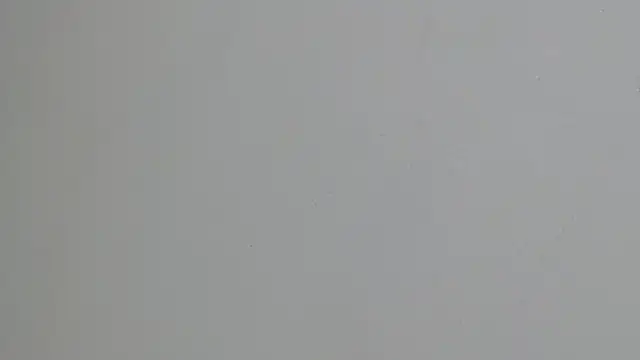erikaskinny18 live