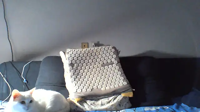 KaelNox live