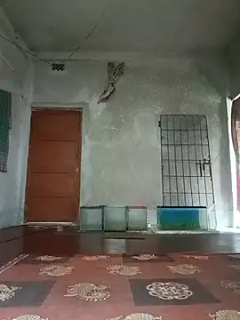 Pirates_Jack_Sparrow live