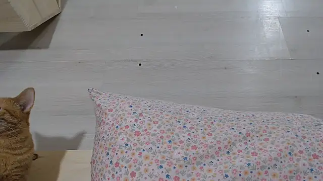 CRISTIIYNA36 live