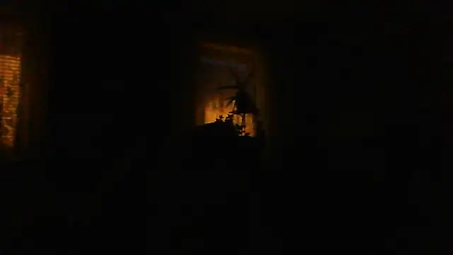 Geiler668 live