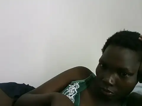 ZediBeb live
