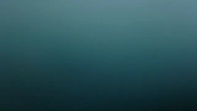 missfoster live
