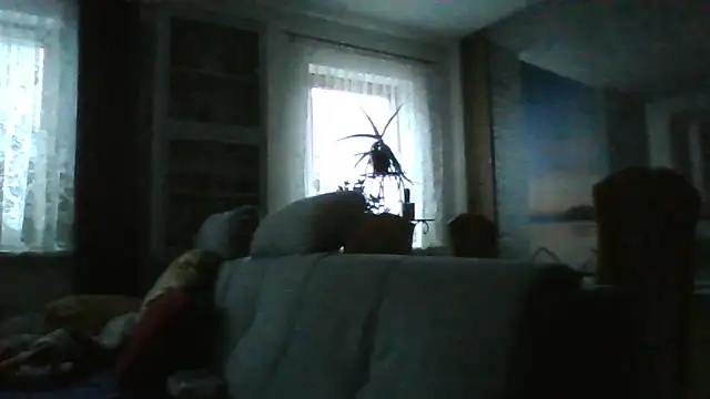 Geiler668 live