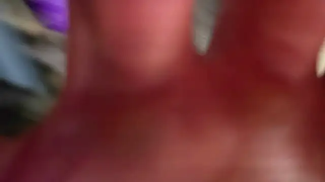 Mrkarizma live