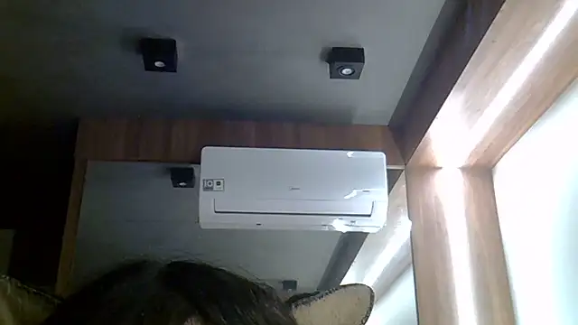 SkinnyKitten live