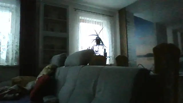 Geiler668 live