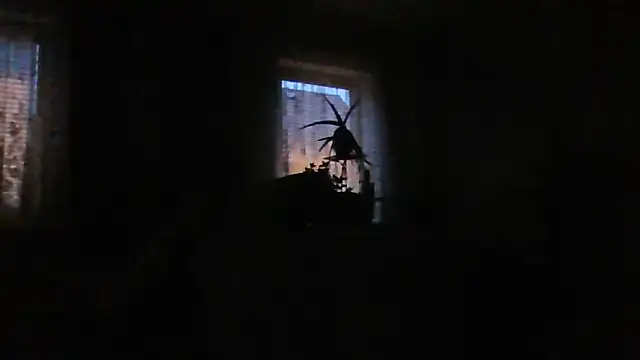 Geiler668 live