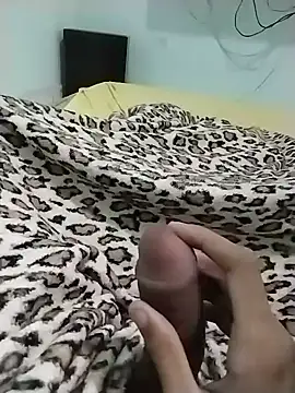 Novinhoie live