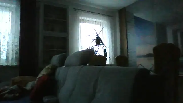 Geiler668 live