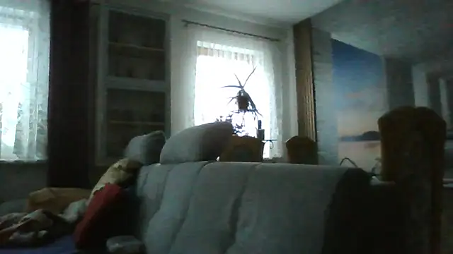 Geiler668 live