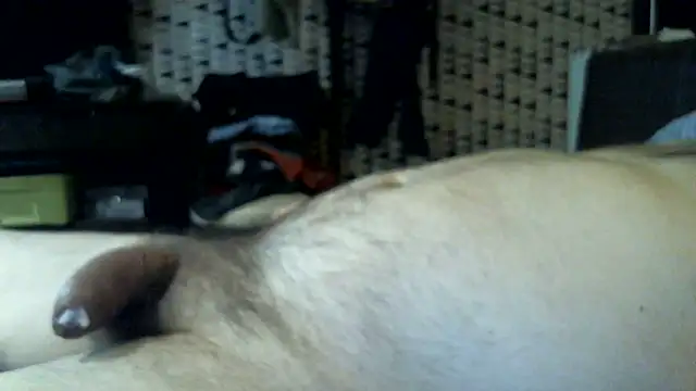BHOT12 live