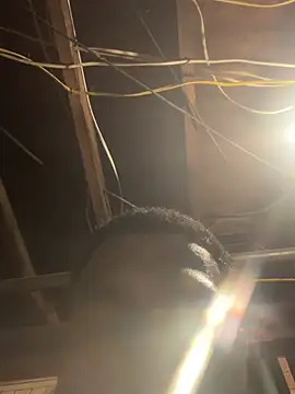 ThisTheRealD live