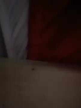 Brickstash live