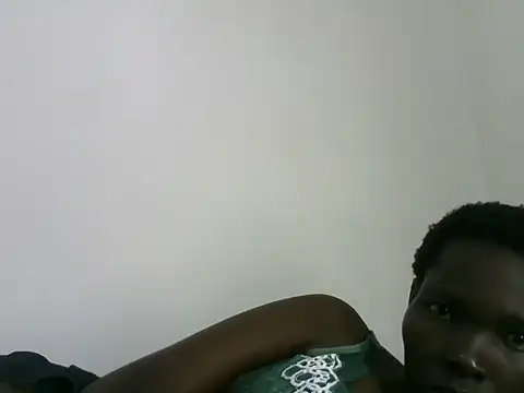 ZediBeb live