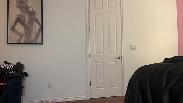 vannarosetv live