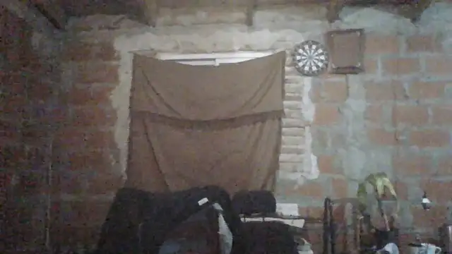 elsaiya live