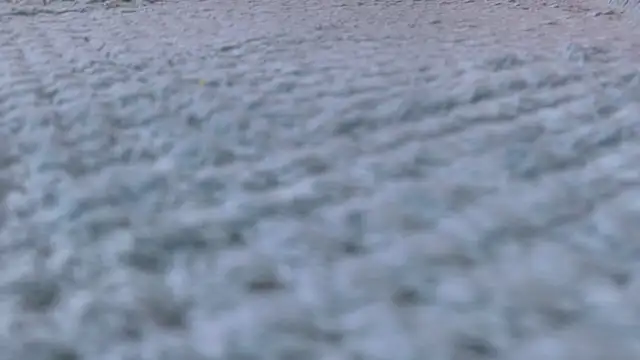 Alesha_XO live