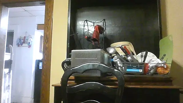 TheOneDonShaun live